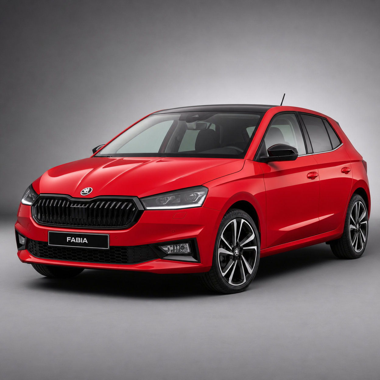 Skoda Fabia Servisi Aksaray